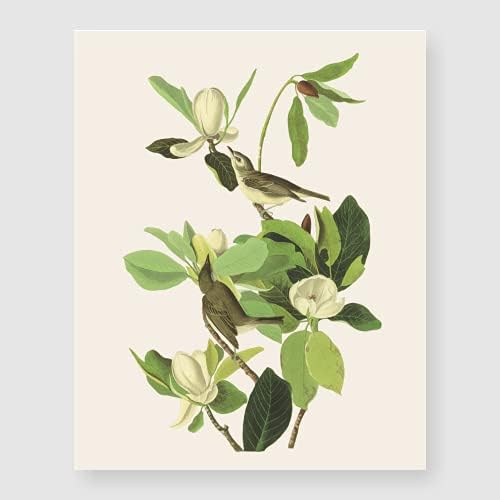 Bestbuddy Set of 4 Unframed Robin Birds Botanical Prints - Antique Tropical Birds Flowers Illustration Wall Art