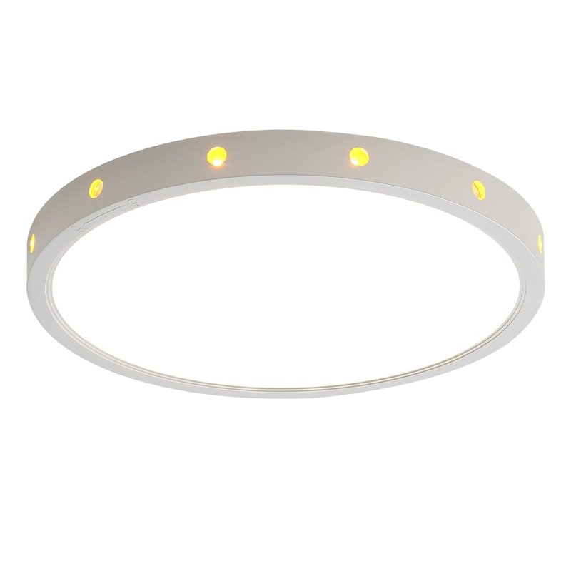 Anmaice 12in 24Watt Flush Mount led Ceiling Light fixtures.Remote Control Dimmable Ceiling Lights for Bedroom, Dining Room, Kitchen, Round White