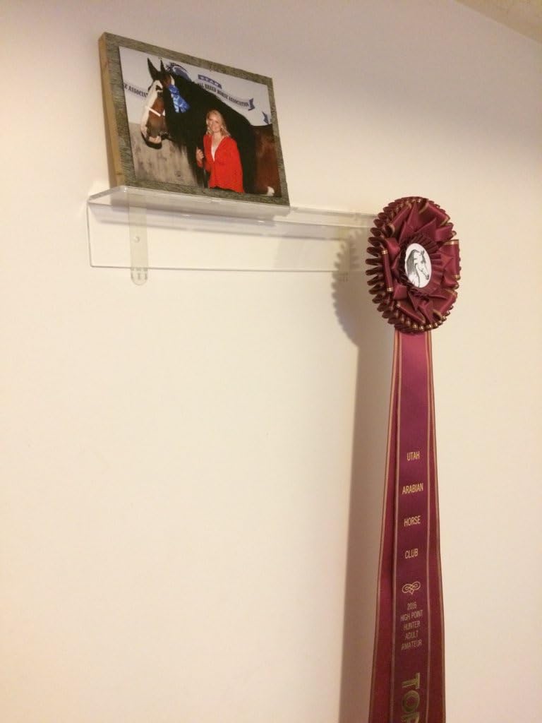 Acrylic Award Ribbon Display Shelf, Clear Wall Mount, Set of 2, Fits 3 in Wide Trophies and Pictures