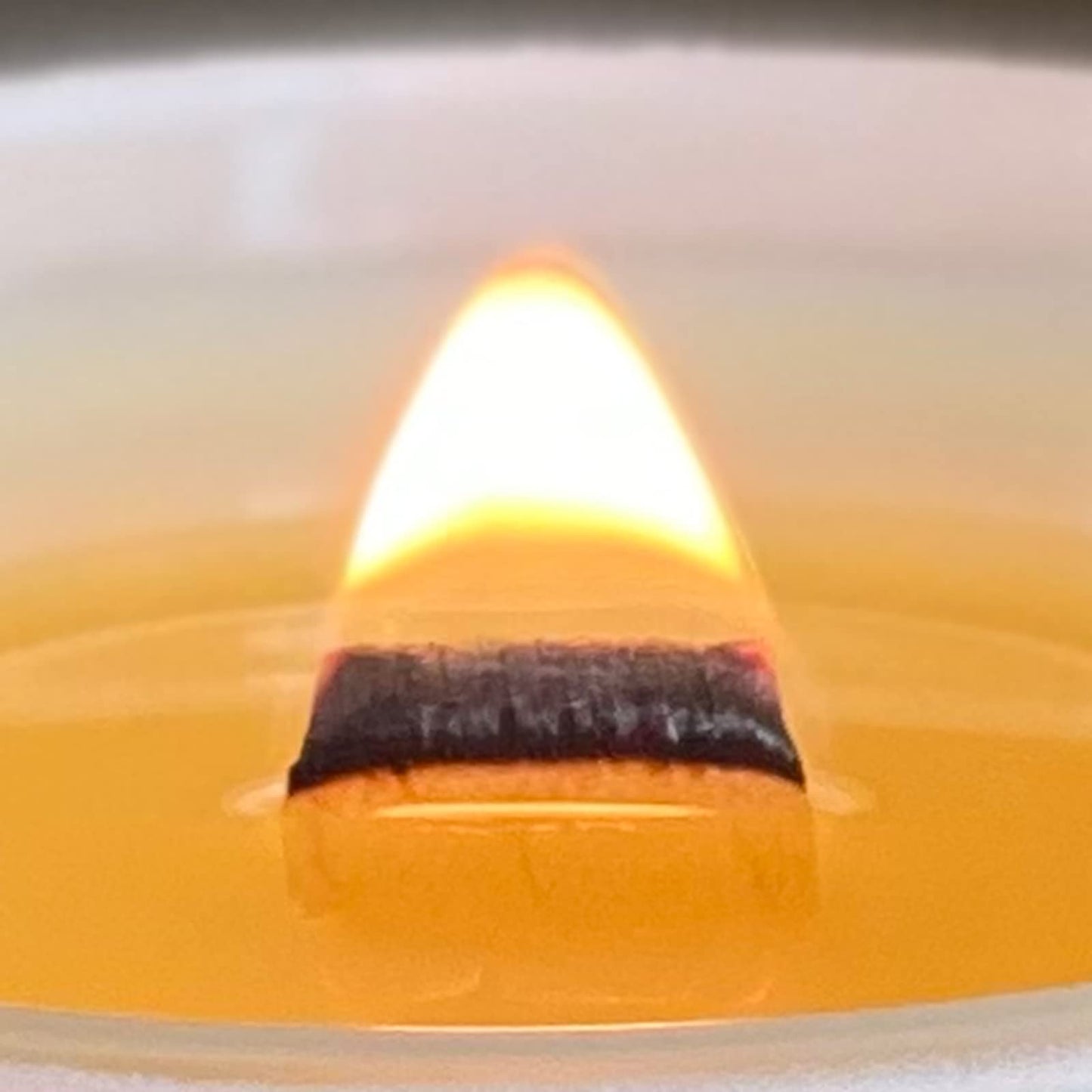 VAVERA Sparkling Grapefruit Wood Wick Candles that Crackle (14oz Matte White Candle Jar) Juicy, Crisp Freshness. Crossover Gifts for Mom or Men! Non Toxic Scented Candle, Hand-Crafted in USA.