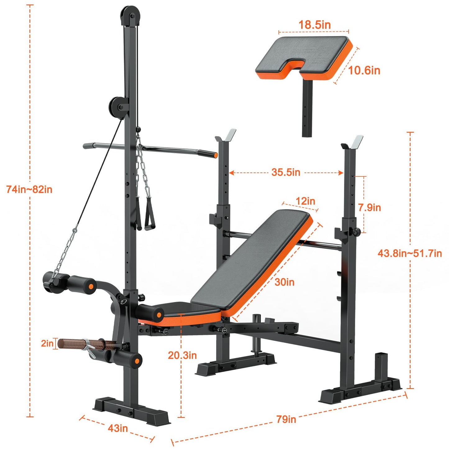 Fostoy 800lbs 8-in-1 Weight Bench โ Lat Pulldown, Leg Extension/Curl, Press Bench with Preacher Curl & Adjustable Seat for Home Gym (800lbs 8-in-1 Weight Bench)