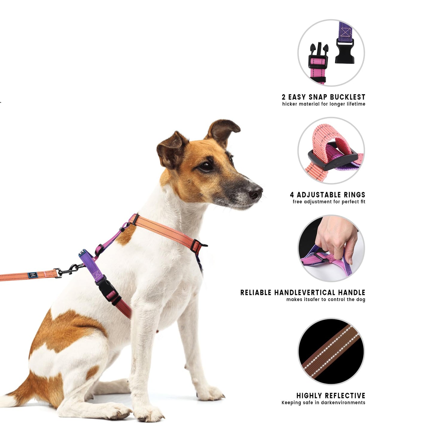 Roses&Poetry Dog Harness with Leash, No Pull Adjustable Harness Leash, Reflective Dog Halter Harnesses Comfort Padded Handle, Pet Walking Harness for Medium Dogs(Mistyrose-M)