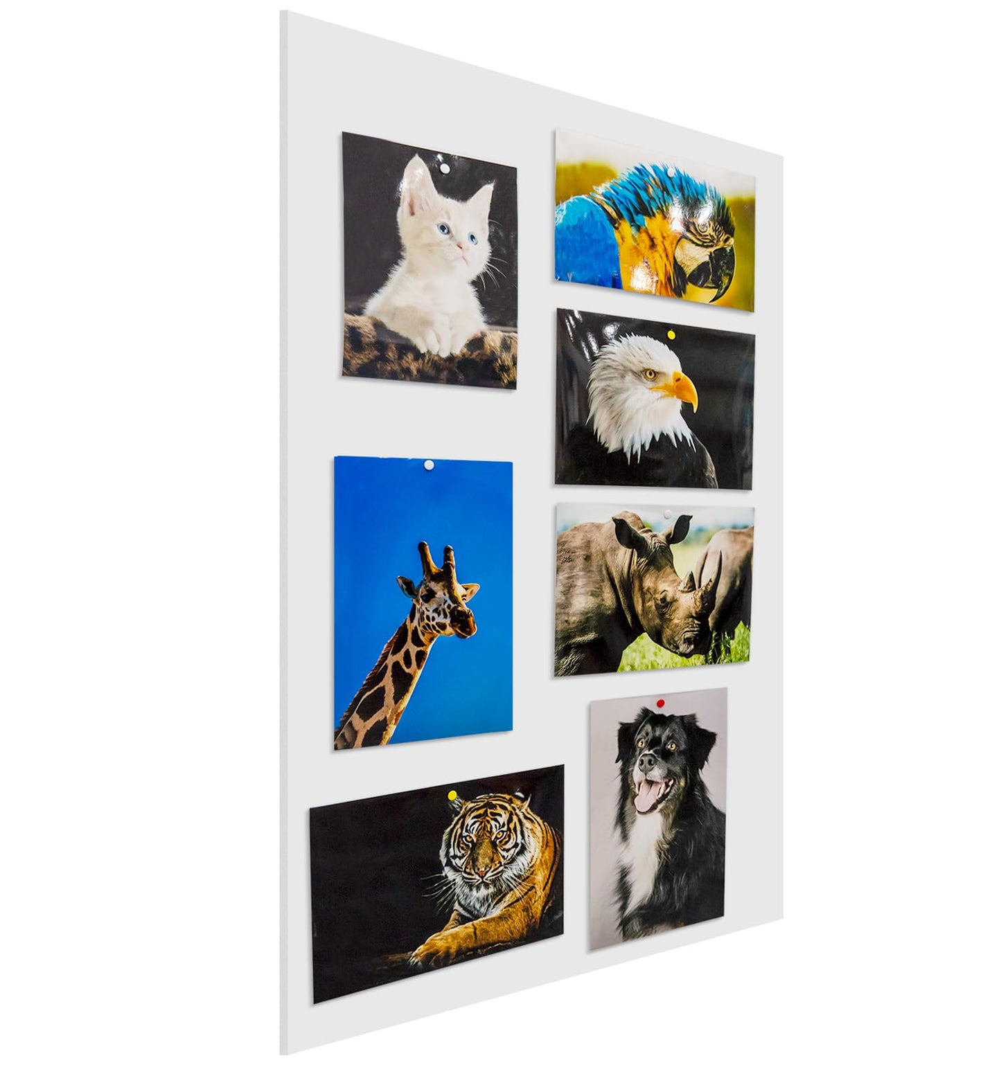 Foam Board 24 x 36 x 3/16" (5mm) - 12 Pack - White Poster Board, Acid Free, Double Sided, Rigid, Sign Board Foamboard for Mounting, Crafts, Paintings Prints, Art, Display, Presentation and Projects