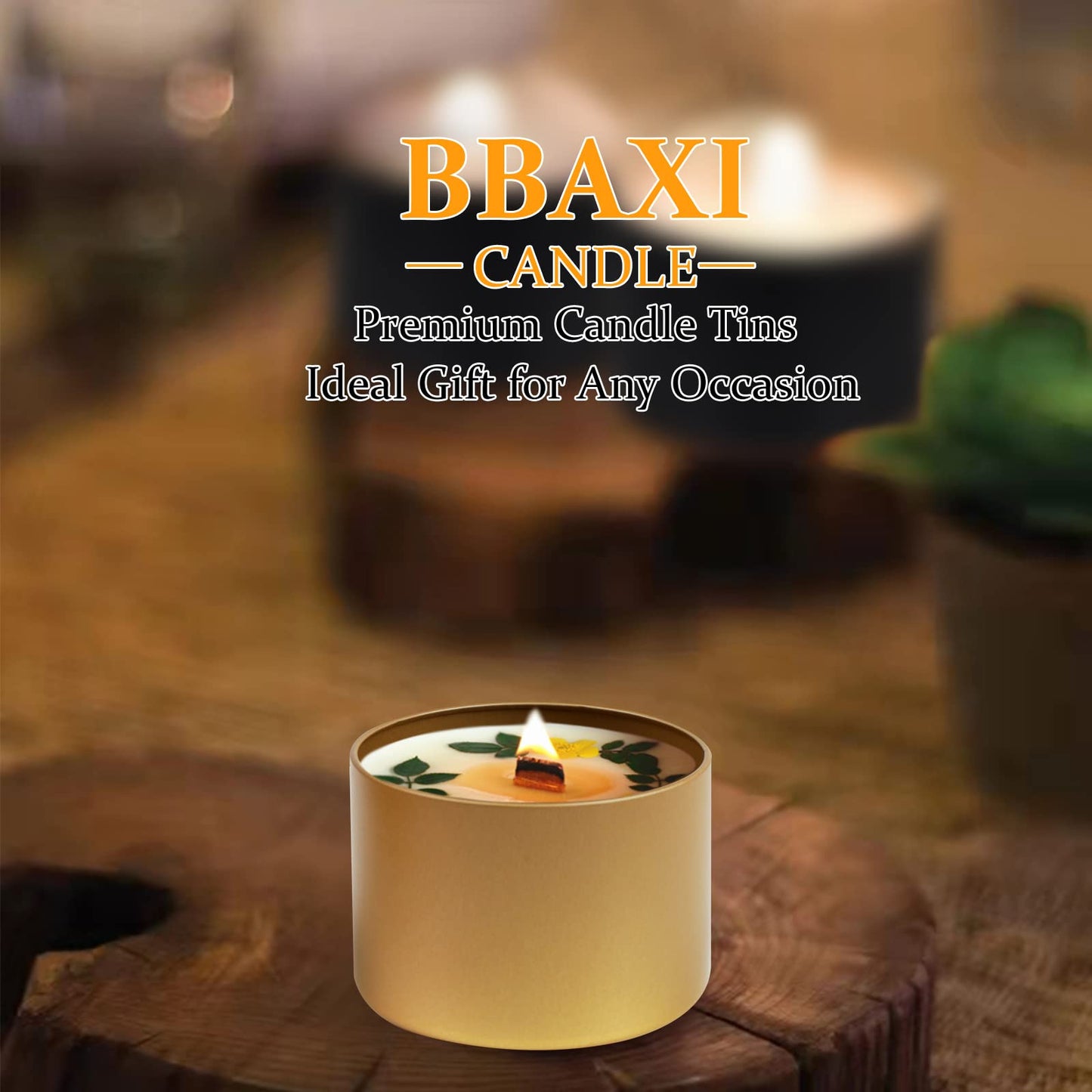 BBAXI 8 oz Candle Tins 24 Pcs,Empty Candle Jars for Making Candles,DIY Candle Containers,Round Metal Tins with Lids for Candle Making