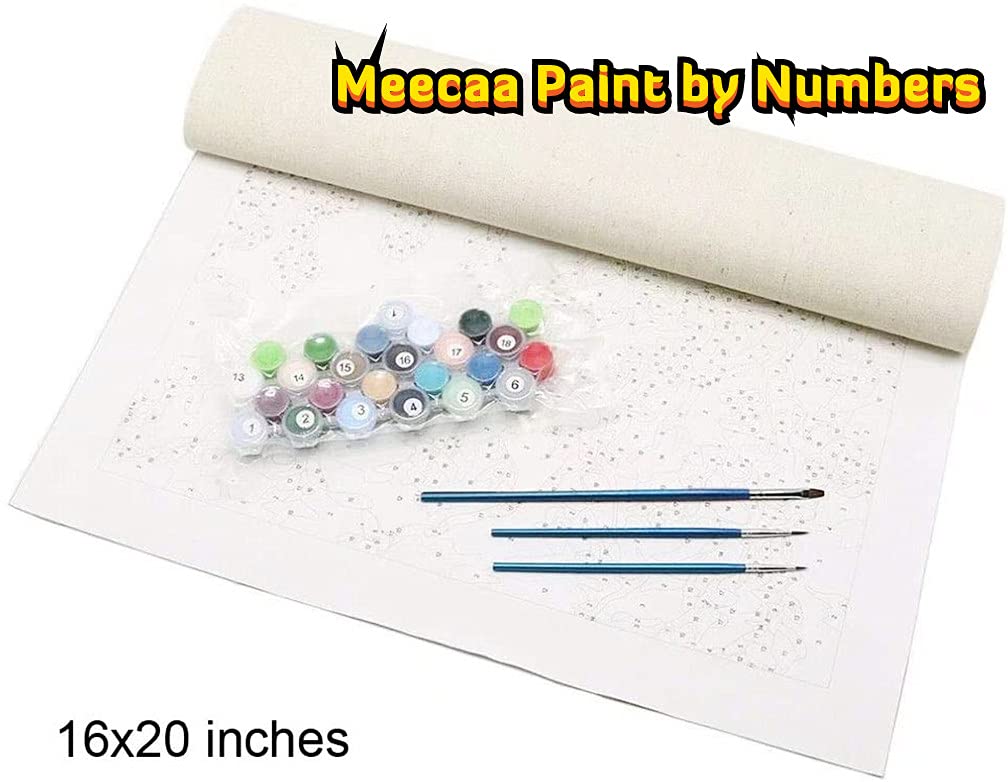 Meecaa Paint by Numbers Poppy Landscape Kit for Adults Beginner DIY Oil Painting 16x20 inch (Poppy Field, No Frame)