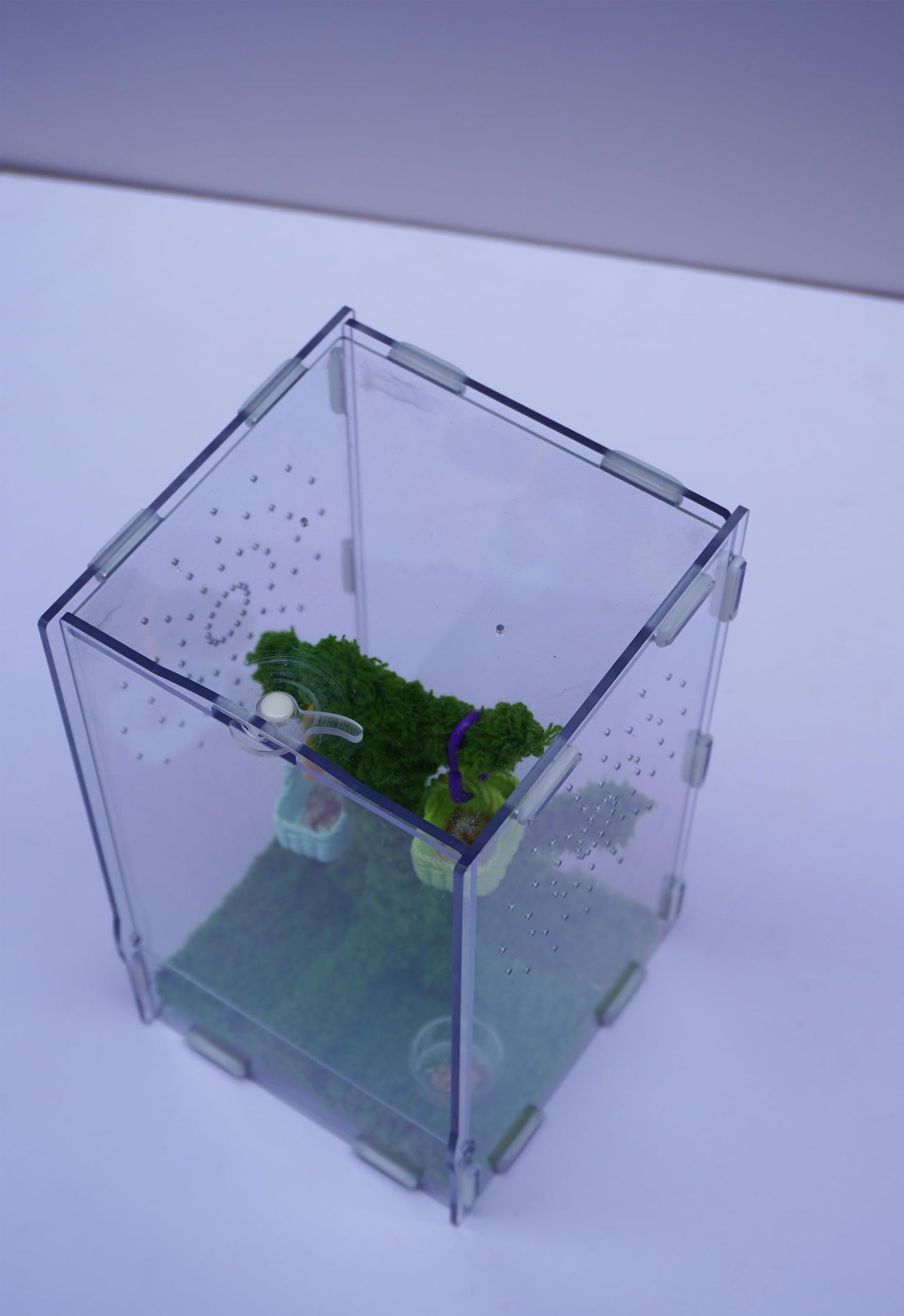 Jinymral Jumping Spider Enclosure Kit with Acrylic Habitat, Feeding Tongs & Decor – 8.66"x5.12"x4.72" Ventilation Terrarium for Pet Spiders, Reptiles & Small Arboreal Pets