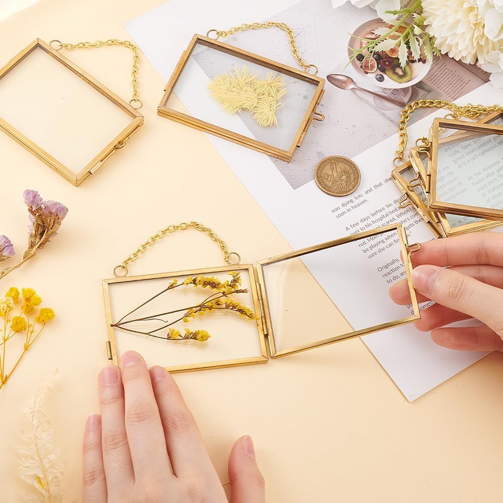 FOCHIER F 4 Pcs Pressed Flower Frame with Tweezers, Wall Hanging Tabletop Display Double Glass Frames with Metal Chain for Pressed Dried Flowers Plants, Horizontal and Vertical Picture Frame,Gold, FRAMES ONLY