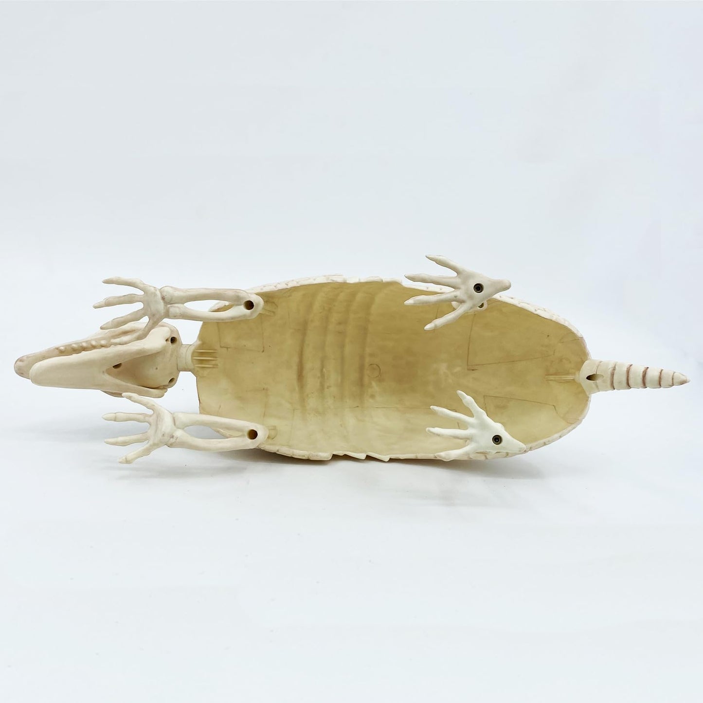 JUST FOR PARTY Armadillo Skeleton Halloween Decorations, 14"x4"x6.25", Rotatable Head and Openable Mouth, Resistant Plastic Armadillo for Fall Graveyard Haunted House Party Indoor and Outdoor Decor
