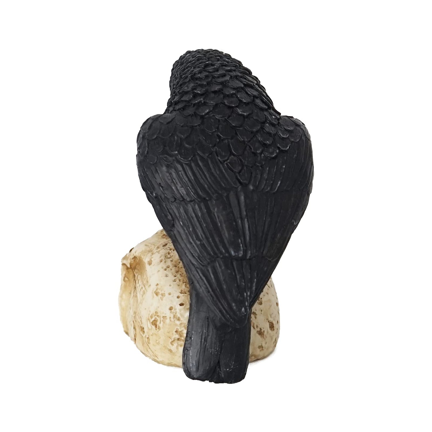 EraSpooky Sitting Crow on Skull Statue Halloween Decoration Gothic Bird Skeleton Figurine