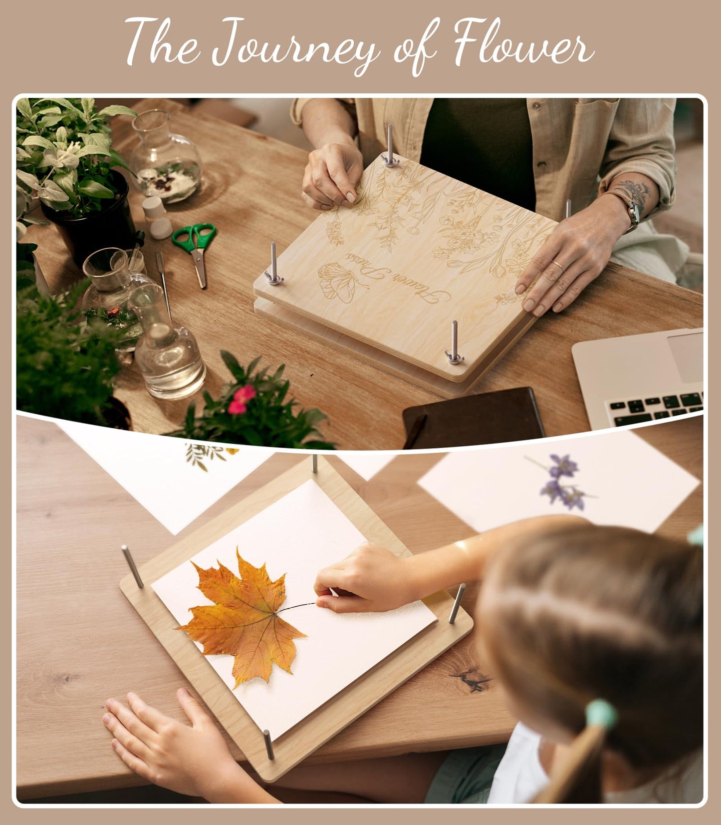 Wakhow Flower Press Kit – 11" x 11" Large Wooden Flower Presser for Adults & Teens | DIY Bouquet Preservation & Dried Flower Art | Ideal Gift for Nature & Craft Lovers