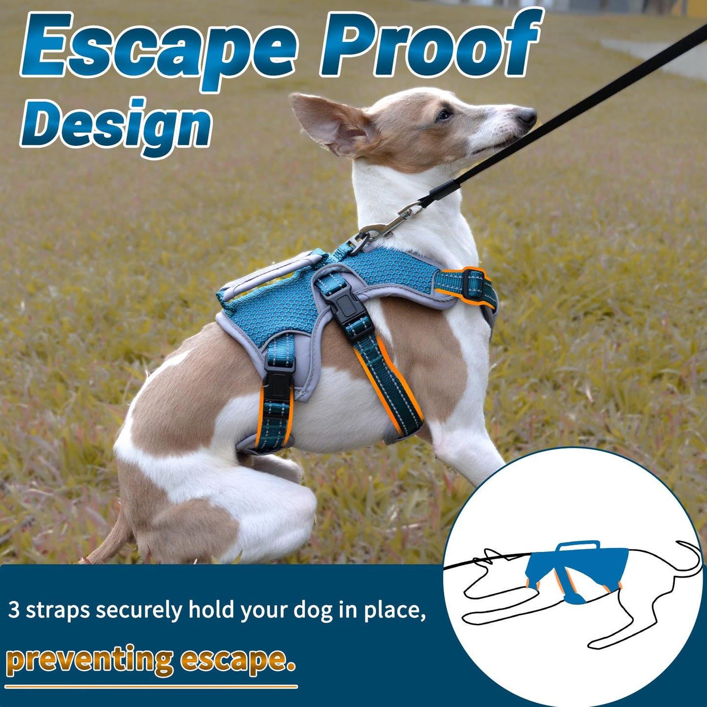 BELPRO Multi-Use Support Dog Harness, Escape Proof No Pull Reflective Adjustable Vest with Durable Handle, Dog Walking Harness for Big/Active Dogs (Blue, L)