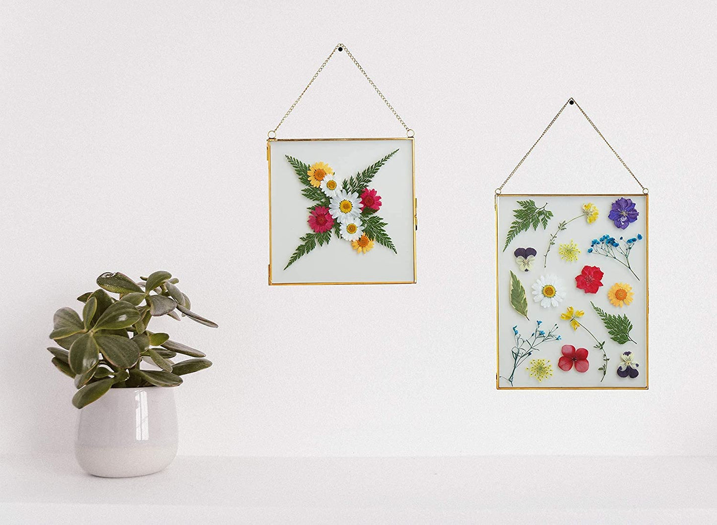 Double Glass Frame for Pressed Flowers, Leaf and Artwork - Set of 3 Hanging Picture Frames, 6x6, 6x8, 4x9 Floating Pressed Flower Frames, Square and Rectangular Wall Decor Photo Display, Clear Metal Glass Frames with Chain (Gold)