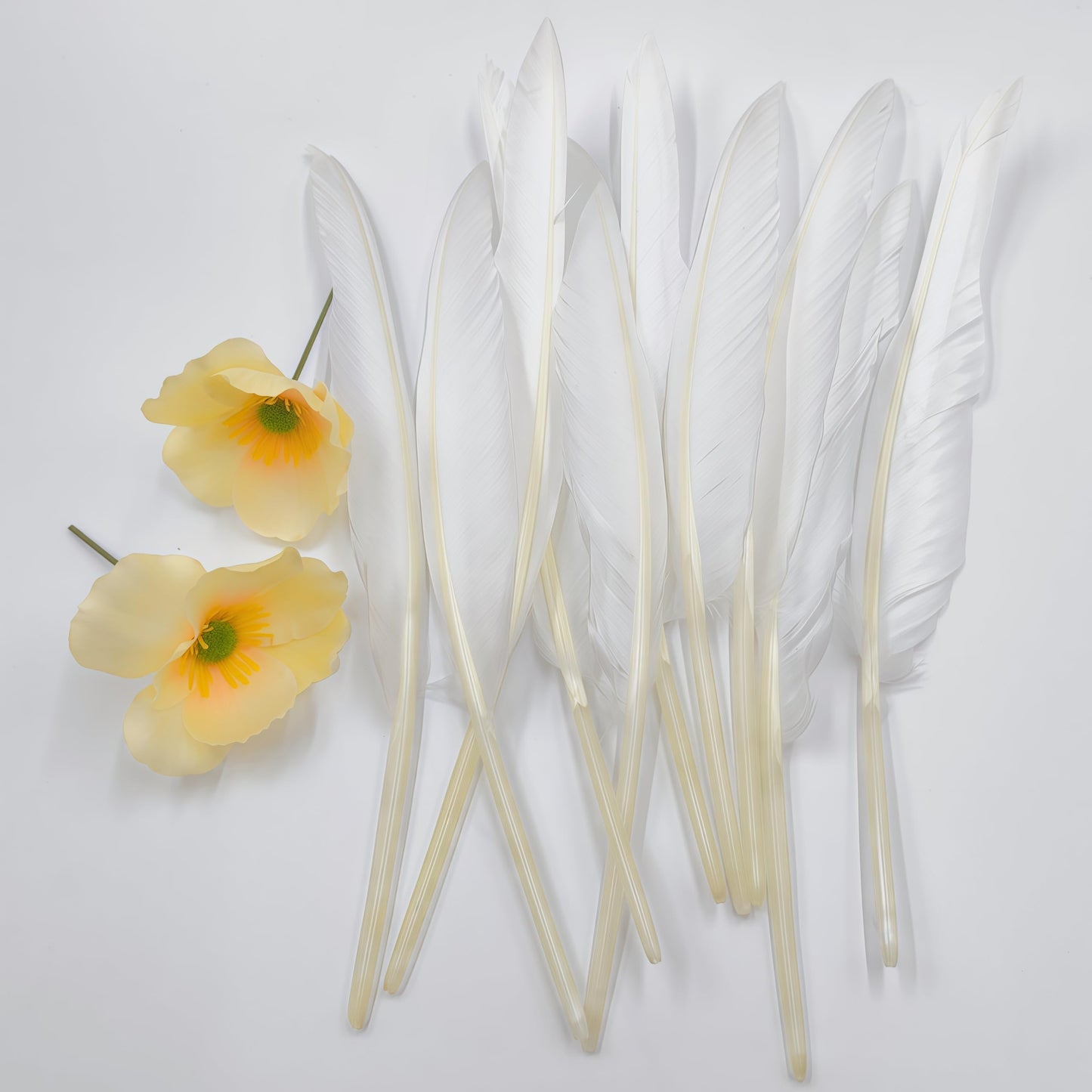 Natural Goose Feathers,Bulk 50 pcs Long 10-12Inch (25-30cm) White Feathers for Crafts,Mardi Gras Decorations,Angel Wings,DIY Handicrafts,Feather Decoration Accessories (Pure White)