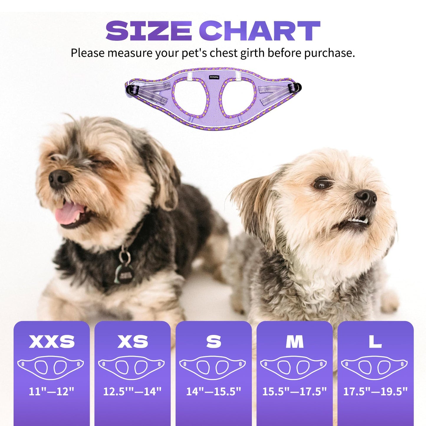 Rttochfy Small Dog Harness, Soft and Reflective Puppy Harness, Dog Harness and Leash Set for Small Size Dogs Training, Walking (Blue M)