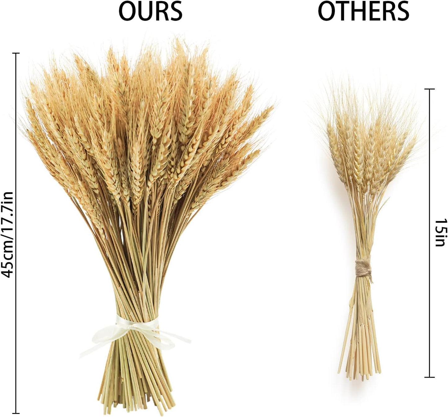 Phliofd 300 Stems Natural Dried Wheat Stalks, 18 inches Dried Wheat Grass Bundle Wheat Sheaves Wreath for Flowers Arrangement Wedding Table Centerpieces Home Kitchen Office DIY Party Décor