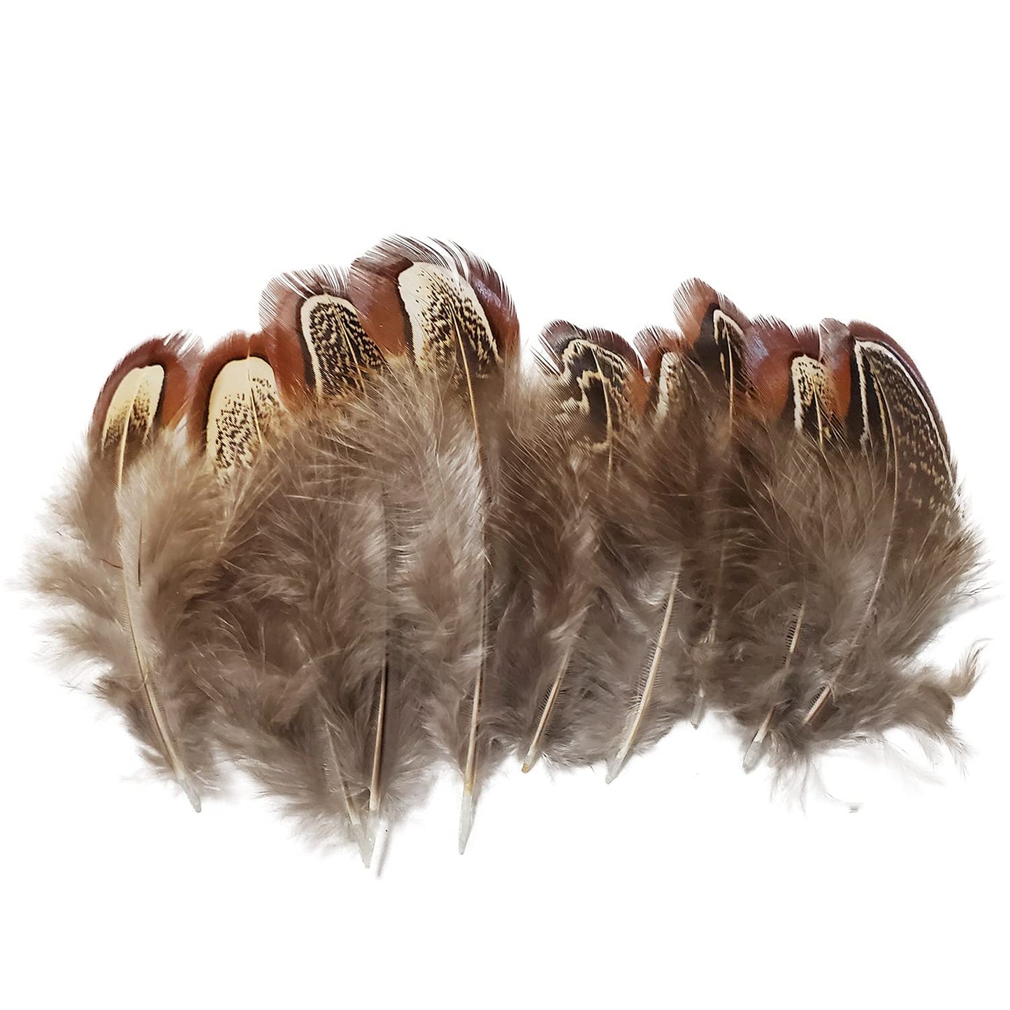 200 pcs Natural Pheasant Plumage Feathers 2-3 Inches Plumage Feathers for Sewing Crafts Clothing Decorating Accessories -Nature
