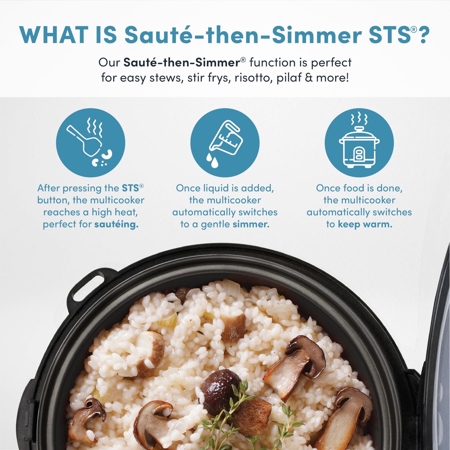 Aroma Housewares Professional Plus ARC-5000SB 20 Cup (Cooked) Digital Rice Cooker, Food Steamer, Slow Cooker, Stainless Exterior/Nonstick Pot, Silver, Black, 10-cup uncooked/20-cup cooked/4QT