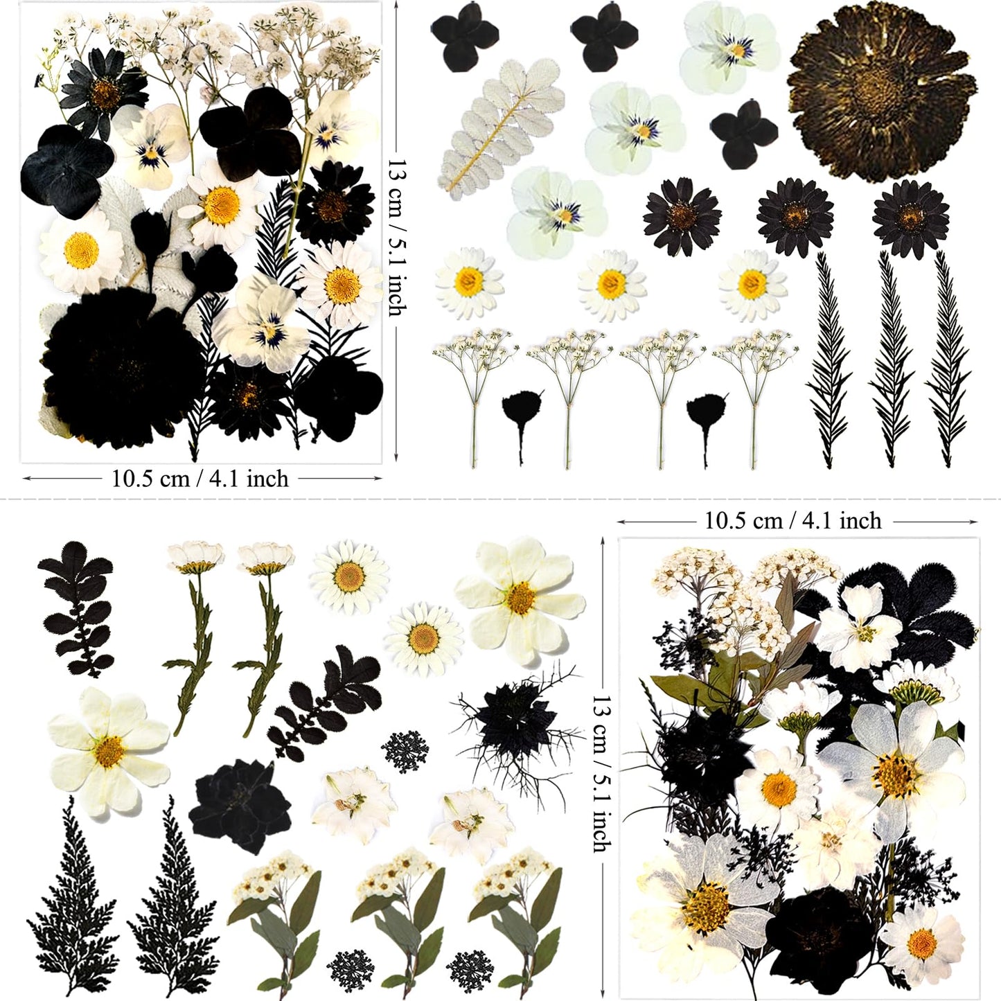 MIKIYA 90Pcs Black Pressed Dried Flowers for Resin Molds, Real Natural Bulk Dry Floral Leave for DIY Art Crafts, Epoxy Jewelry, Candle, Soap Making, Nails Decors Gifts