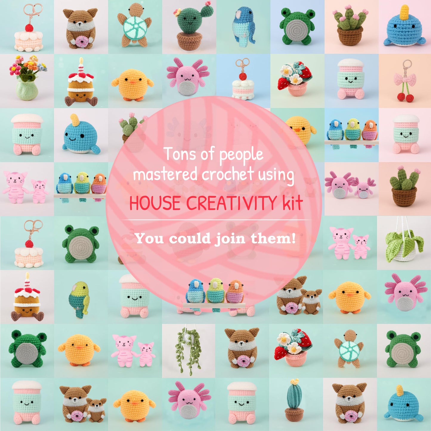 HOUSE CREATIVITY Crochet Kit for Beginners, Make 3 Mini Budgie Birds, Amigurumi Crochet Starter Kit with Step-by-Step Video Tutorial, Yarn, Hook, Eyes & Stuffing, DIY Craft Kit Gift for Adults