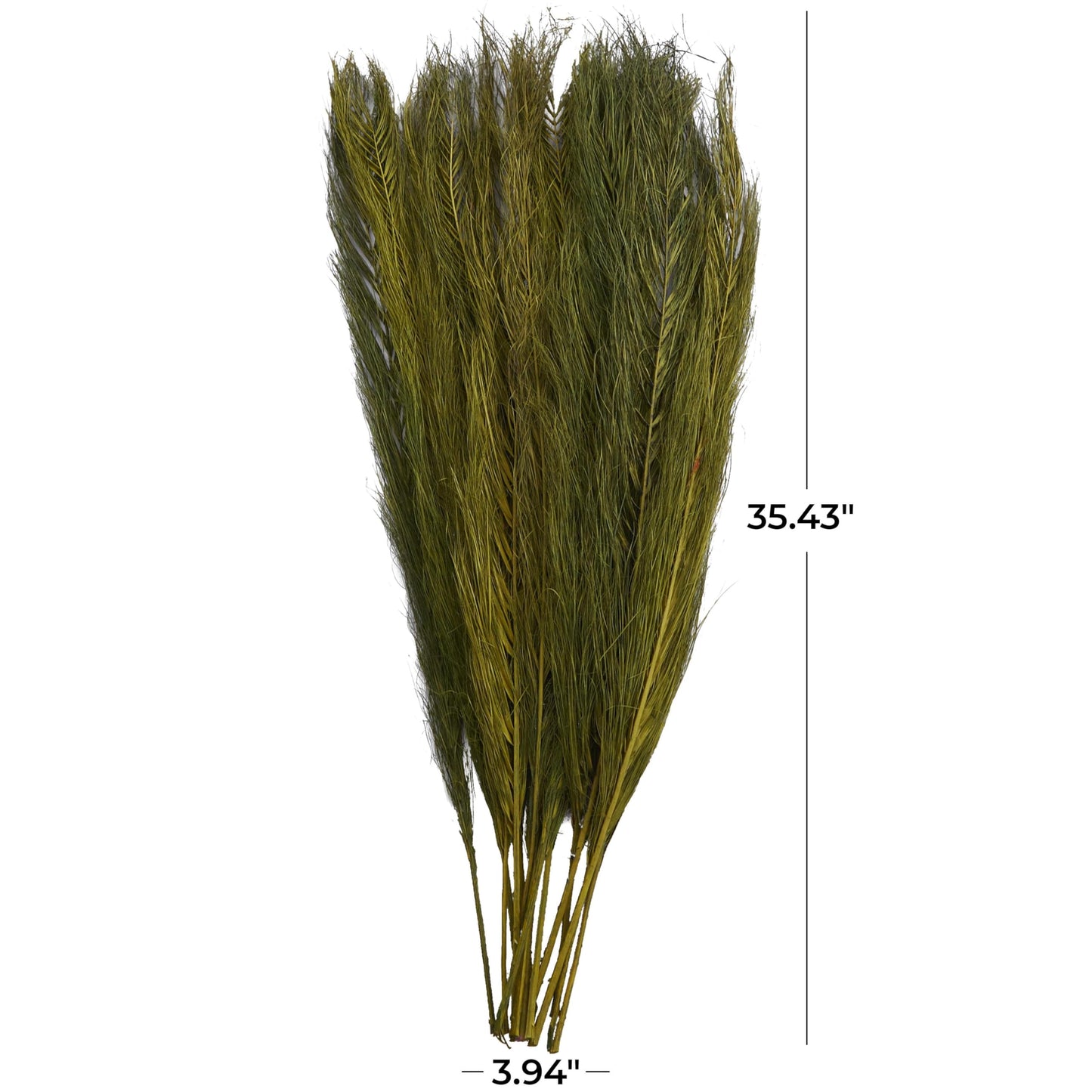 Deco 79 Dried Plant Leaves Home Decor Natural Foliage Natural Dried Foliage with Feather Inspired Stems, Foliage for Decoration 4" x 1" x 35", Green
