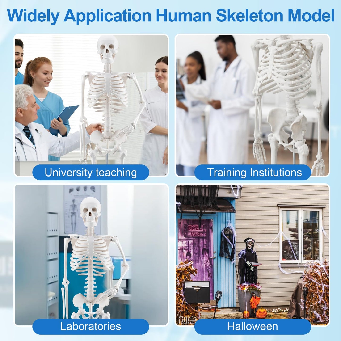 TYRRDE 33.4-Inch Human Skeleton Model – Mini Skeleton Anatomy Model with Removable Arms & Legs, Durable Structure and Clear Anatomical Details, Ideal Skeleton Model for Study and Display (Beige)