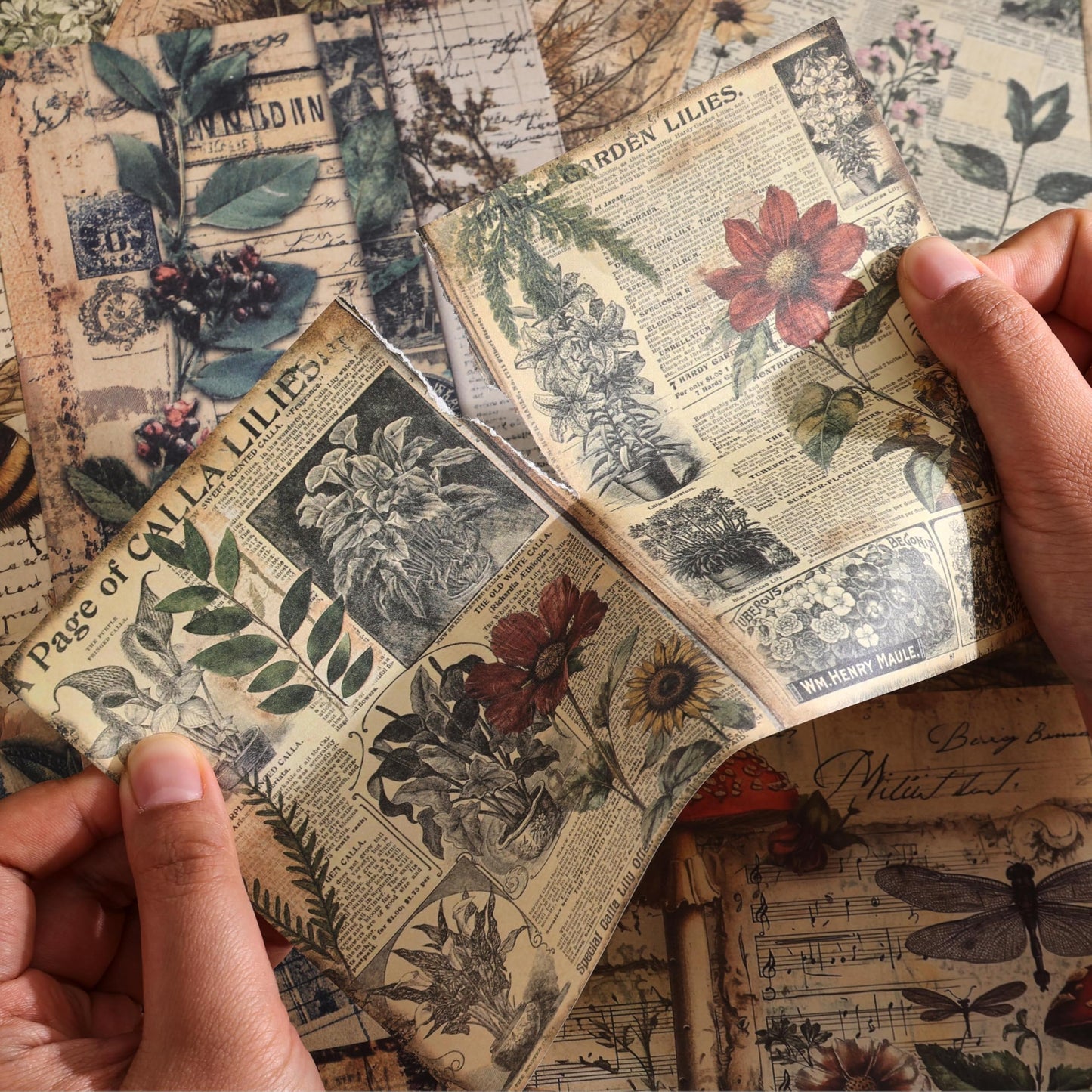 120 Sheets Vintage Botanical Scrapbook Paper Set, Journaling Scrapbooking Supplies Craft Decoupage Papers Kit, 4 Themes x 30 Mushroom Floral Antique Letter Design for Junk Journals Collage Card Making