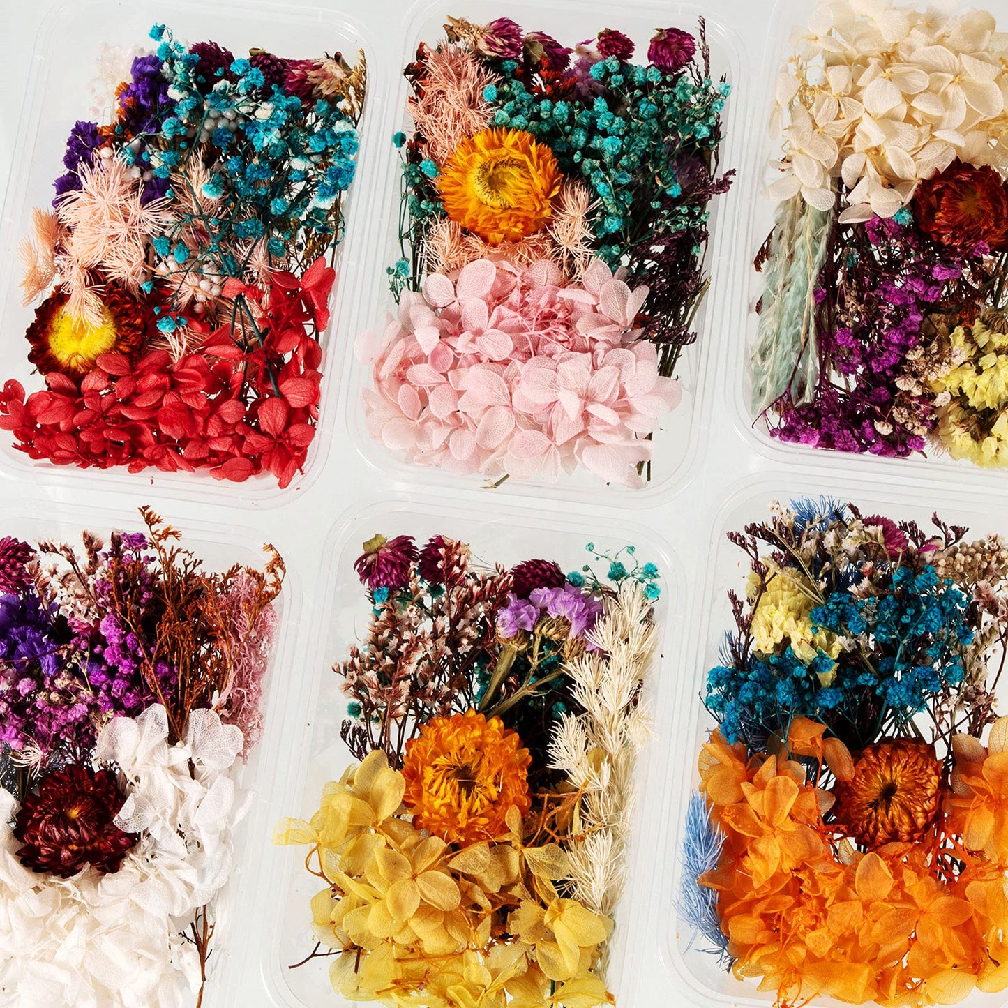 Nuanchu 200 Pcs Natural Dried Pressed Flowers and Leaves Resin Real Dried Flower Leaves Mixed with Tweezers for DIY Jewelry Candle Soap Vase Making Nail Card Scrapbook Art Craft Floral Decors