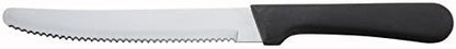 Round Tip Steak Knife with Plastic Handle - 5 Inch Blade - 12 per Case