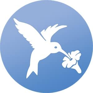 WindowAlert Hummingbird Anti-Collision Decal - UV-Reflective Window Decal 2-Pack to Protect Wild Birds
