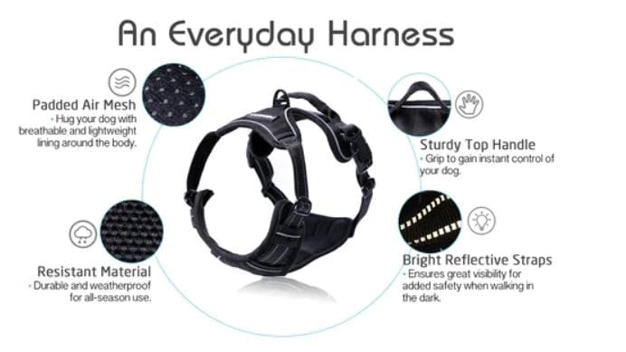 rabbitgoo Dog Harness No Pull with 2 Leash Clips, Adjustable Soft Padded, Reflective Oxford No Choke Pet Vest with Easy Control Handle for Large Dogs, Black, L