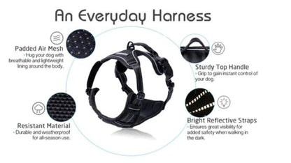rabbitgoo Dog Harness No Pull with 2 Leash Clips, Adjustable Soft Padded, Reflective Oxford No Choke Pet Vest with Easy Control Handle for Large Dogs, Black, L