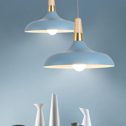 ELEFOCUS Simplicity Pendant Lamps,E27 1-Head Chandelier,Colored Hanging Metal Lampshade,Office Ceiling Lighting Fixture(Color:Black)