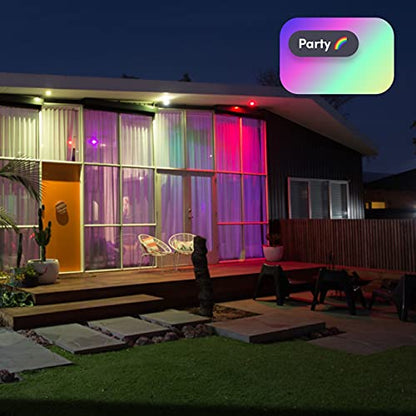 BR30 Smart Light