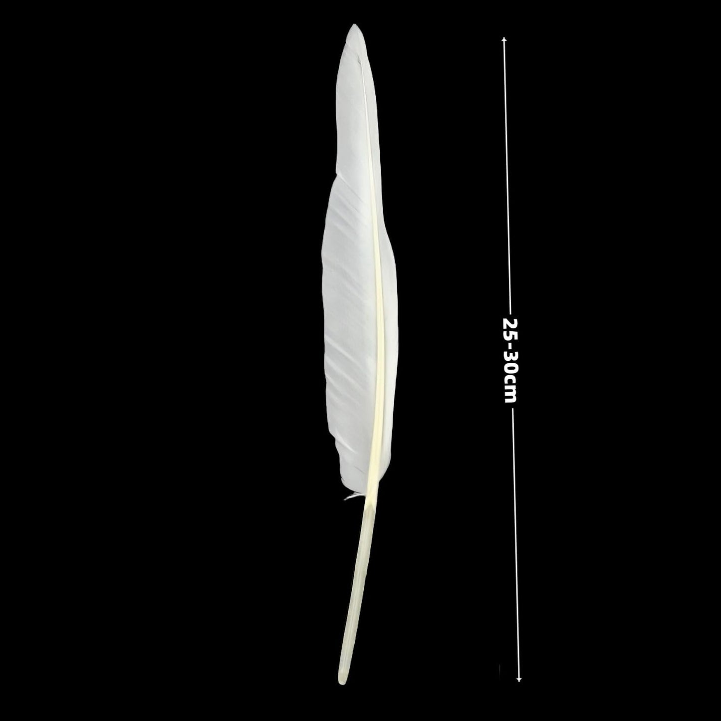 Natural Goose Feathers,Bulk 50 pcs Long 10-12Inch (25-30cm) White Feathers for Crafts,Mardi Gras Decorations,Angel Wings,DIY Handicrafts,Feather Decoration Accessories (Pure White)
