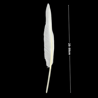 Natural Goose Feathers,Bulk 50 pcs Long 10-12Inch (25-30cm) White Feathers for Crafts,Mardi Gras Decorations,Angel Wings,DIY Handicrafts,Feather Decoration Accessories (Pure White)