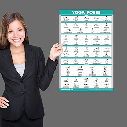Palace Learning QuickFit Yoga Position Poster - Laminated Yoga Asana Poses Chart, 18" x 24"