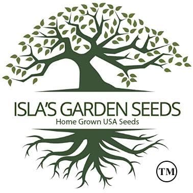 58 500+ Imperator Carrot Seeds (Daucus carota) Non-GMO & Heirloom Seeds, Long and Sweet Carrots for Juicing, Fresh