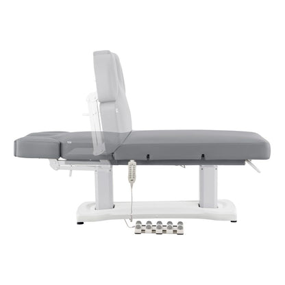 Full Electric Medical Spa Treatment Massage Table Facial Beauty Bed TRANQUILITY