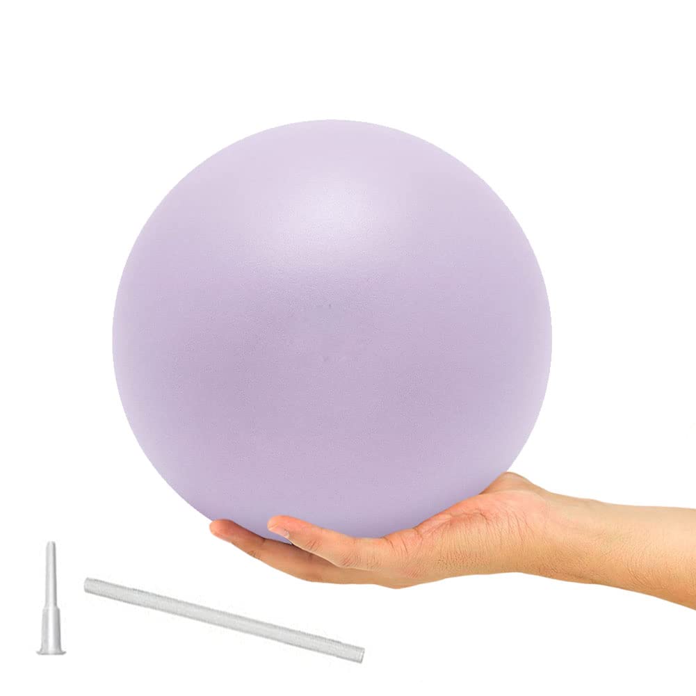 9 Inch Exercise Pilates Ball Mini Exercise Barre Ball for Yoga,Stability Exercise Training Gym Anti Burst and Slip Resistant Balls Physical Therapy Improves Balance, Core Strength