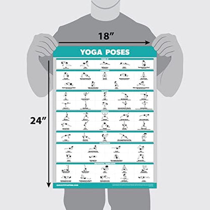 Palace Learning QuickFit Yoga Position Poster - Laminated Yoga Asana Poses Chart, 18" x 24"