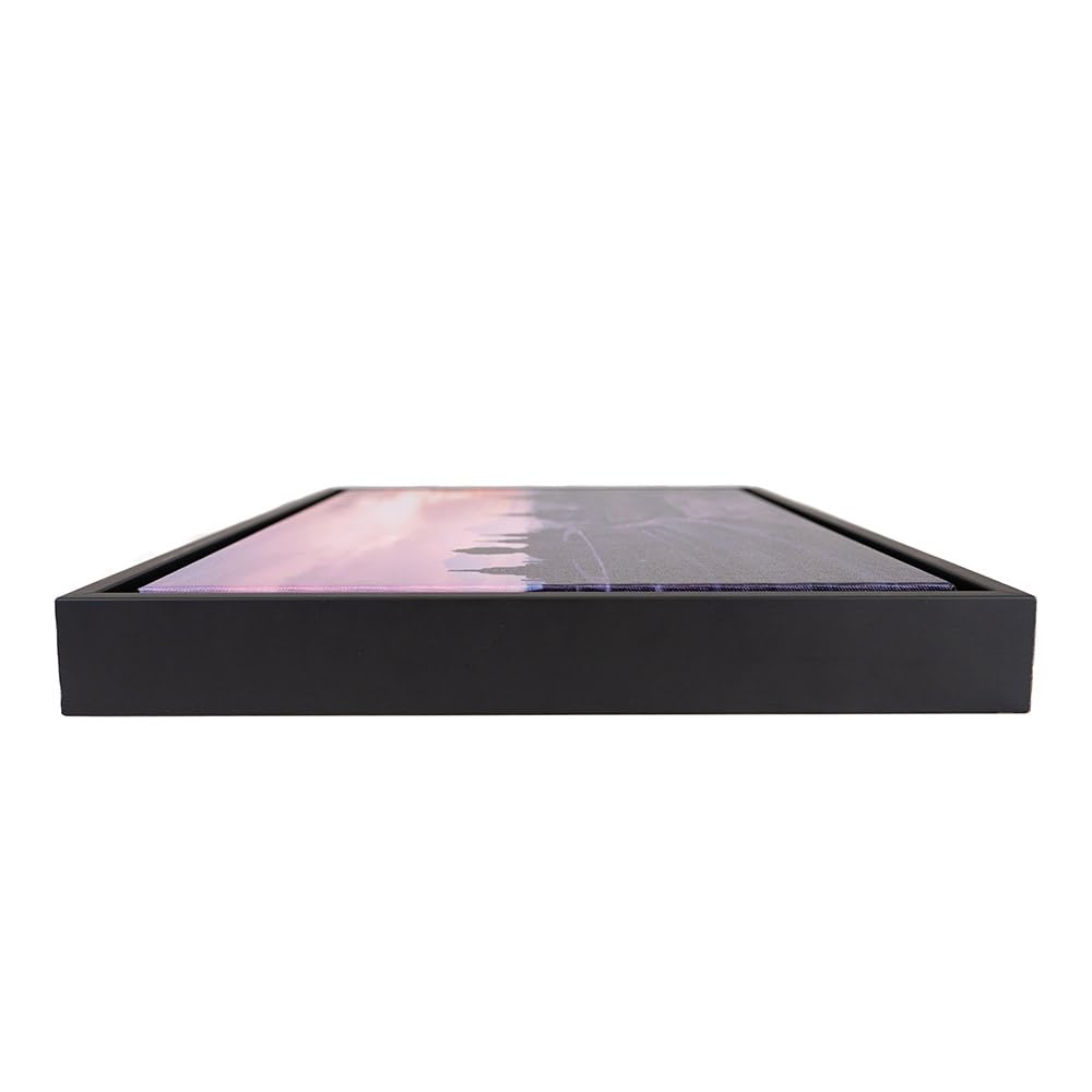 Abstract Petals I Black Float Frame Canvas Art, Floral Artwork
