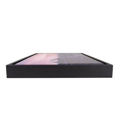 Abstract Petals I Black Float Frame Canvas Art, Floral Artwork