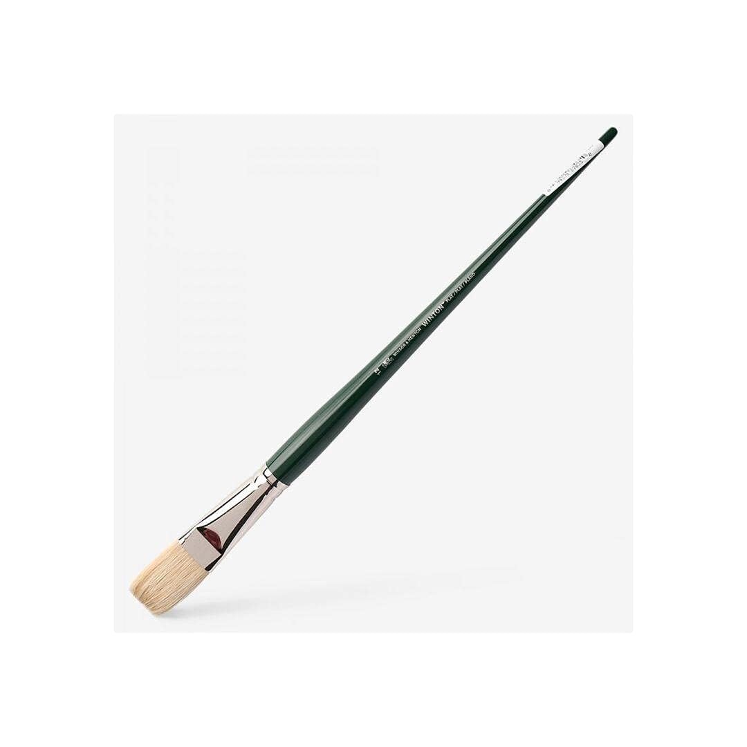 Winsor & Newton Winton Hog Bristle Brush Flat, 12, Green