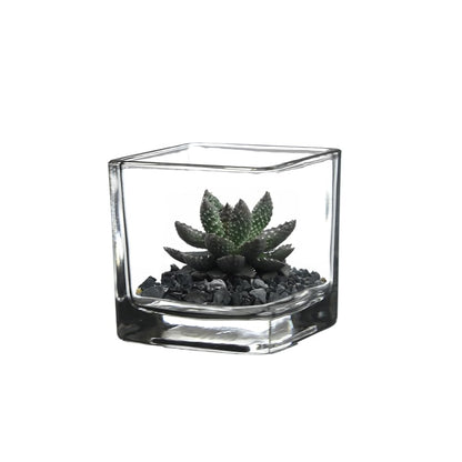 WGV 2 Inch Tea Light Votive Candle Holder, Clear, Square Cube 2”x2”, Small Tiny, Home Décor, Table Top, 1 Pc