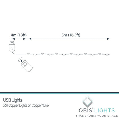QBIS Warm White Fairy Lights on Copper Wire, 100 Micro LED String Lights with USB Plug, Timer, Multi Function, Adjust Brightness, Pretty Micro LED Christmas Lights