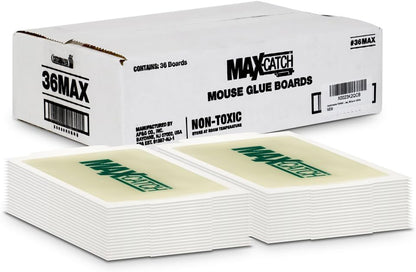 Catchmaster Max-Catch Mouse & Insect Glue Trap 36pk, Mouse Traps Indoor for Home, Sticky Pest Control Adhesive Tray for Catching Bugs, Non Toxic Bulk Pre-Baited Glue Boards