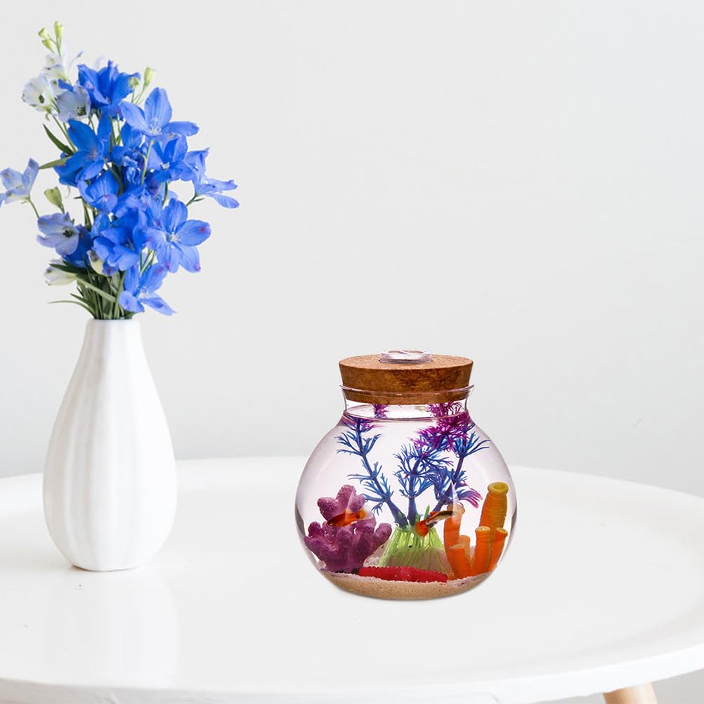 NUOBESTY Glass Terrarium Jar with Cork Lid, Hydroponic Plant Container, Desktop Propagation Jar with Led Light for Home Office Tabletop Decor