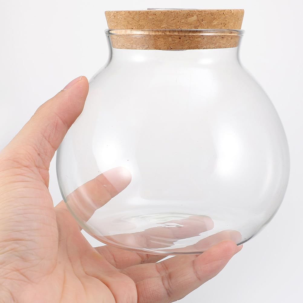 NUOBESTY Glass Terrarium Jar with Cork Lid, Hydroponic Plant Container, Desktop Propagation Jar with Led Light for Home Office Tabletop Decor