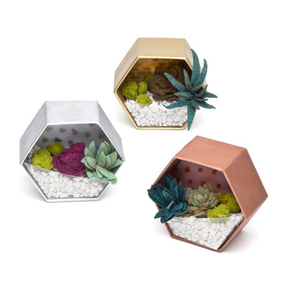 Craft Crush — Mini Plants Terrariums Easy Fun Arts and Craft Kit — Make 3 Charming Faux Terrariums! — For Ages 13 and Up