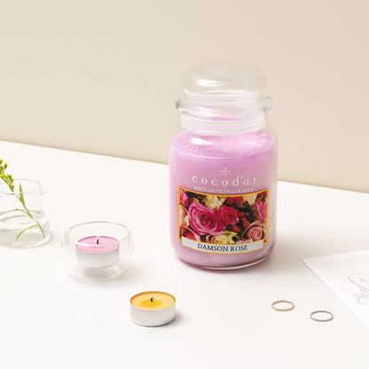 COCODOR Scented Tealight Candles/Winter Jasmine / 25 Pack / 4-5 Hour Extended Burn Time/Made in Italy, Cotton Wick, Scented Home Deco, Fragrance, Mother's Day